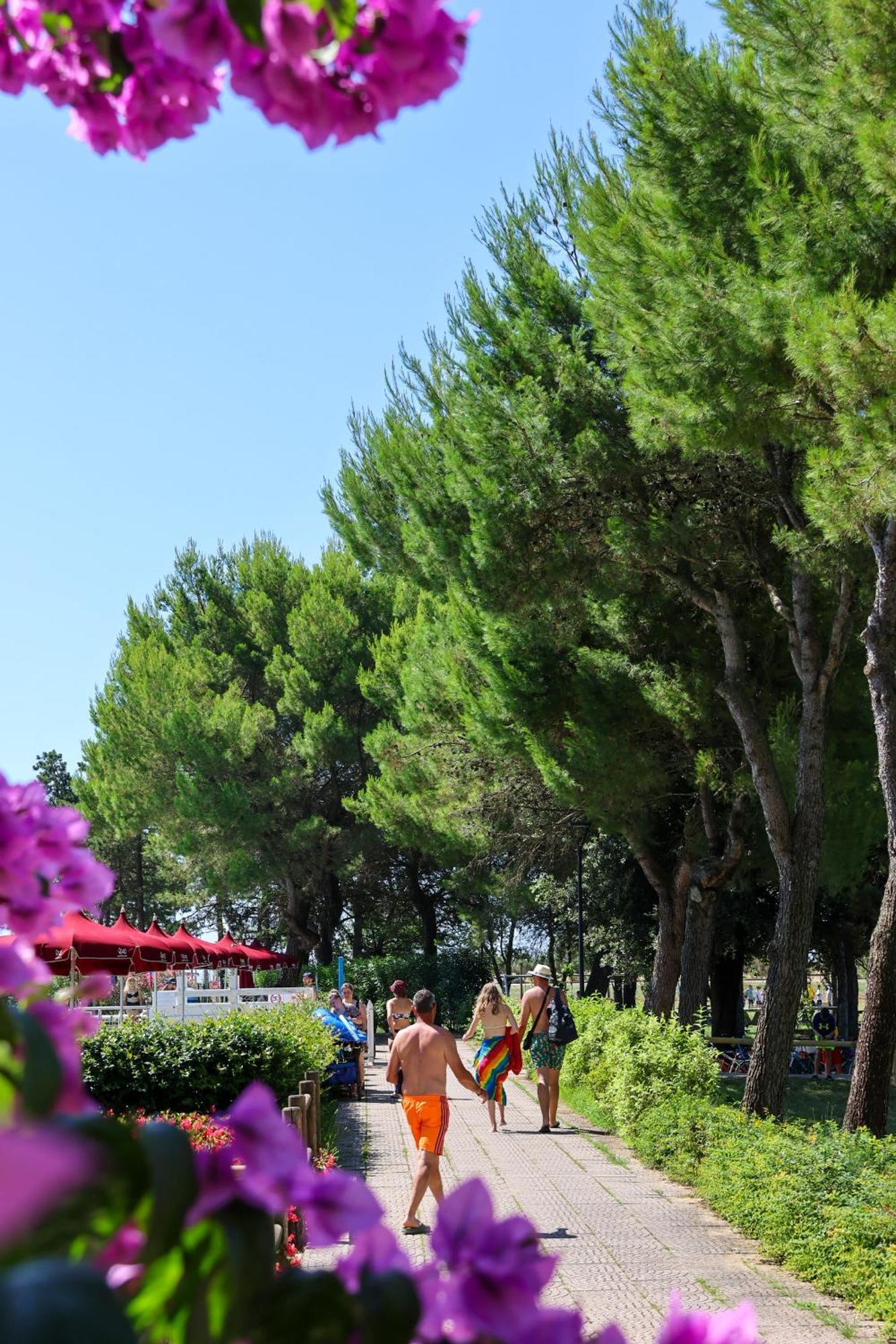 Il Tridente Hotel Bibione Exterior foto